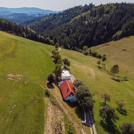 4 Bedroom With Heated Indoor Pool Jajo & Pajo Villa Zgornja Kapla